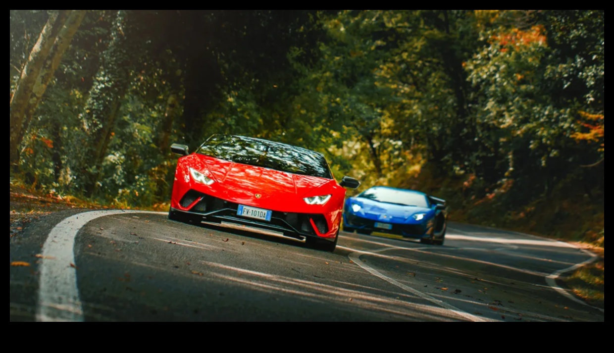 אגדות שיוט: מכוניות ספורט שמותירות רשמים מתמשכים על הכביש