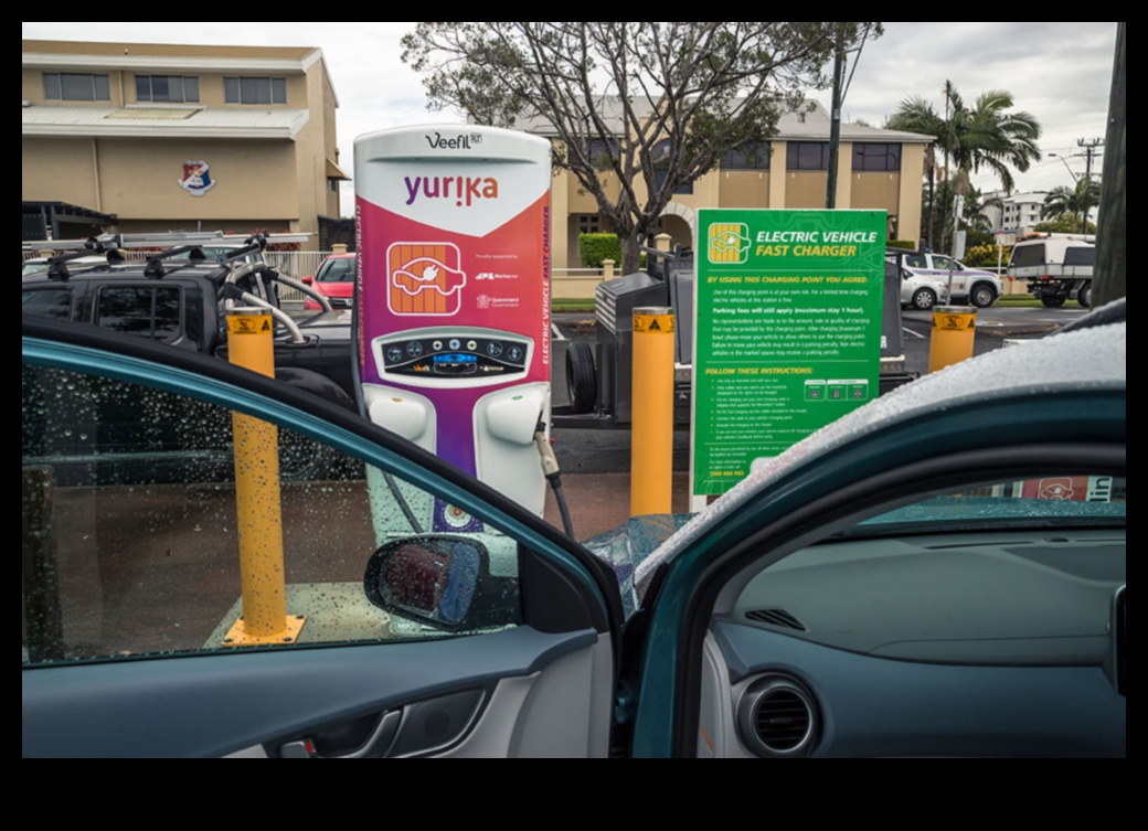 רשתות טעינה: עמוד השדרה של אימוץ רכב חשמלי