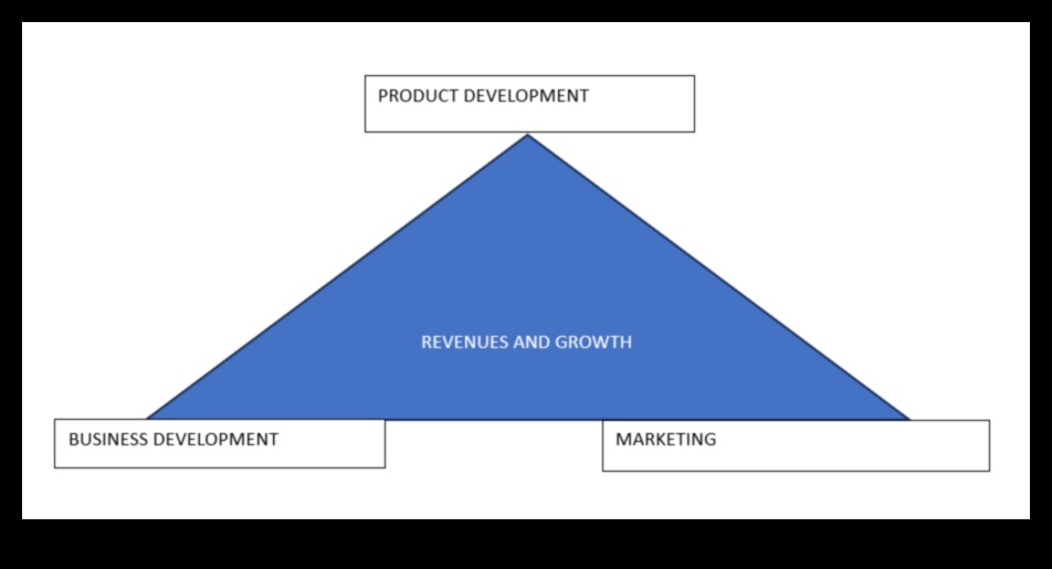 תכנון לצמיחה: ניווט בדינמיקה של מצוינות עסקית