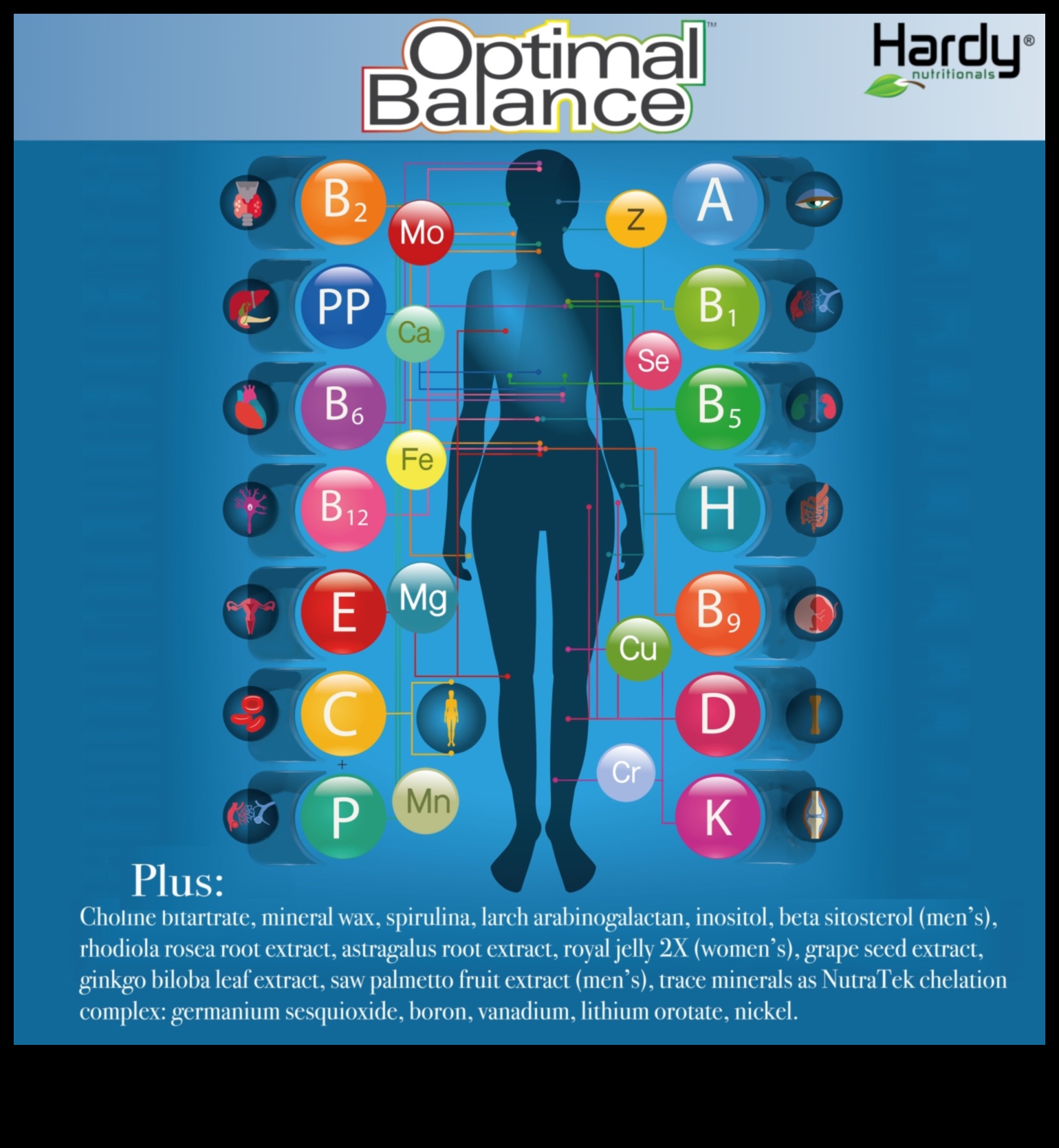 אקט האיזון: יסודות מיקרו-נוטריינטים לרווחה אופטימלית