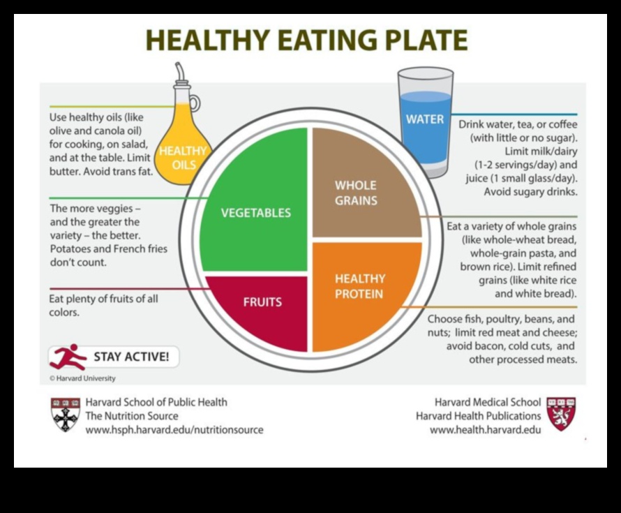 הצלחת המאוזנת: מדריך לענייני תזונה גריאטרית
