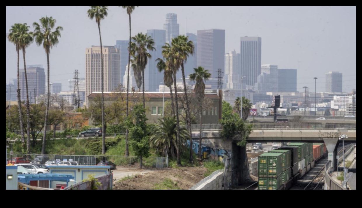 Cityscape Cargo Chronicles: סיפורים אישיים מנהגים מסחריים עירוניים