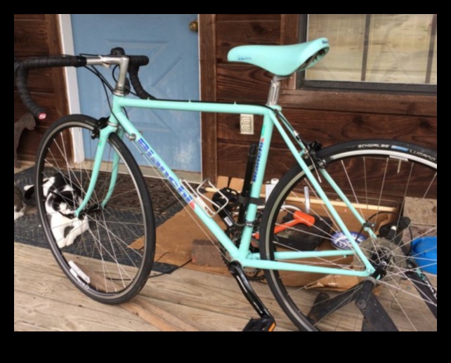 Vintage Velocity: חוגגים את הנוסטלגיה של אופניים קלאסיים