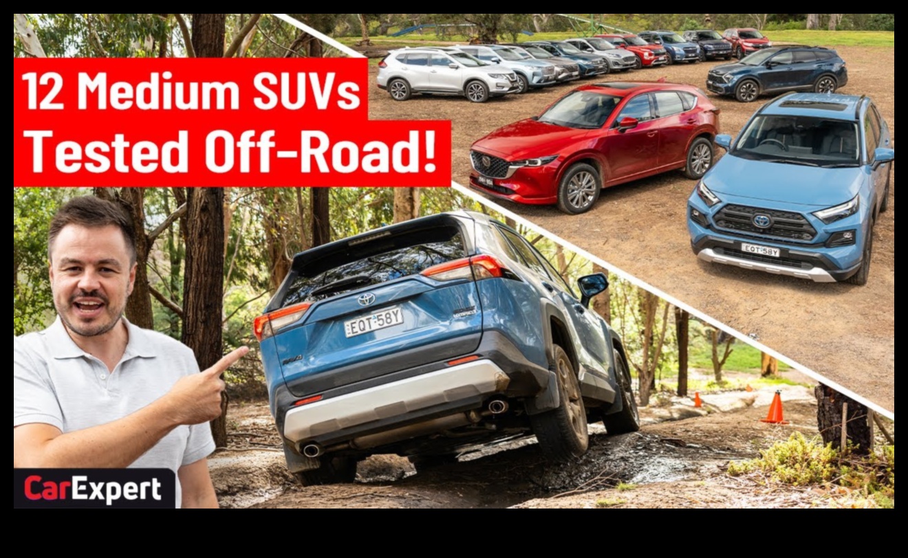 סיפורי רכב שטח: נרטיבים אישיים מבעלי רכב שטח נלהבים