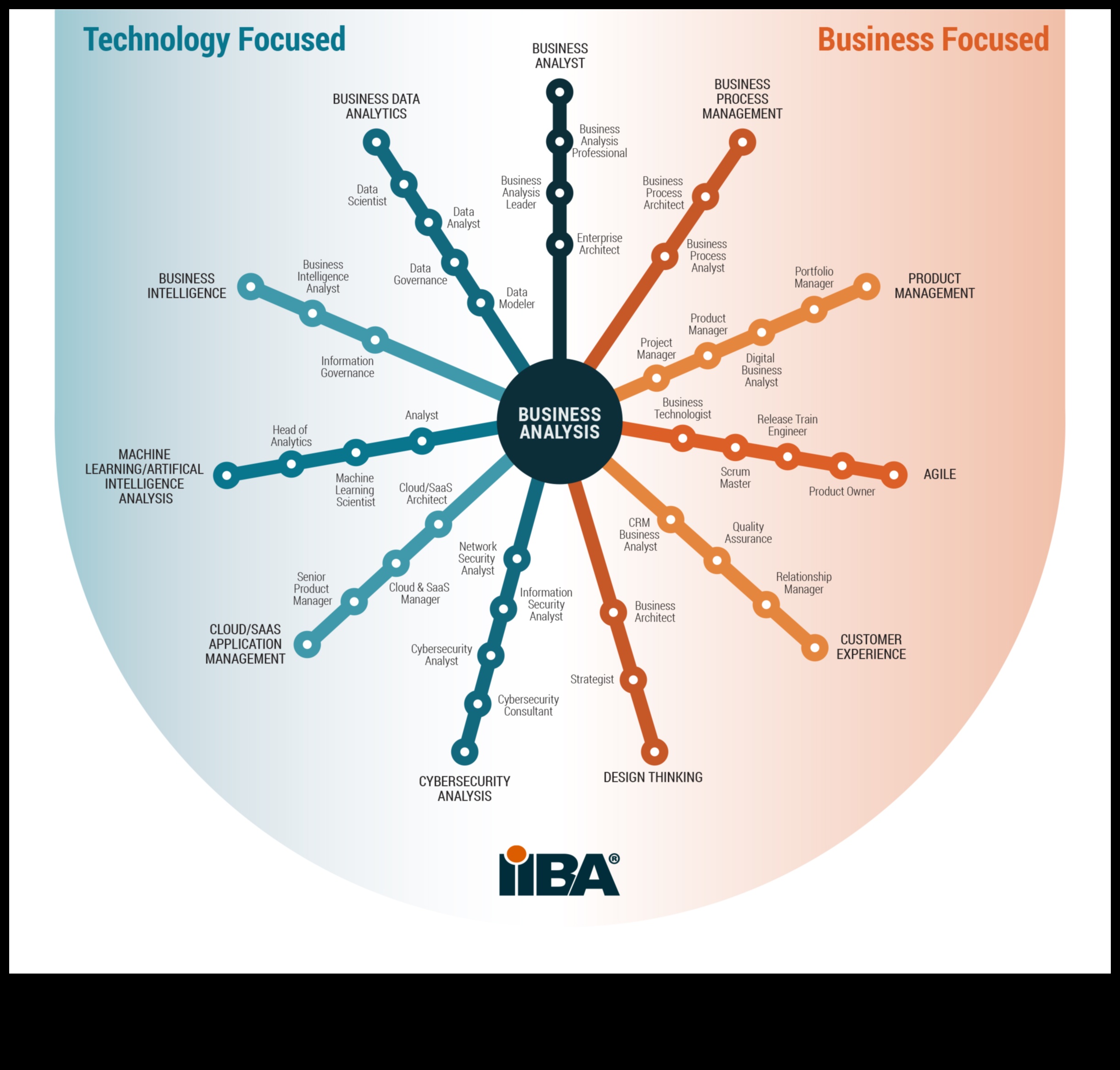 רנסנס דוגמנות עסקית: הגדרה מחדש של פרדיגמת הצמיחה
