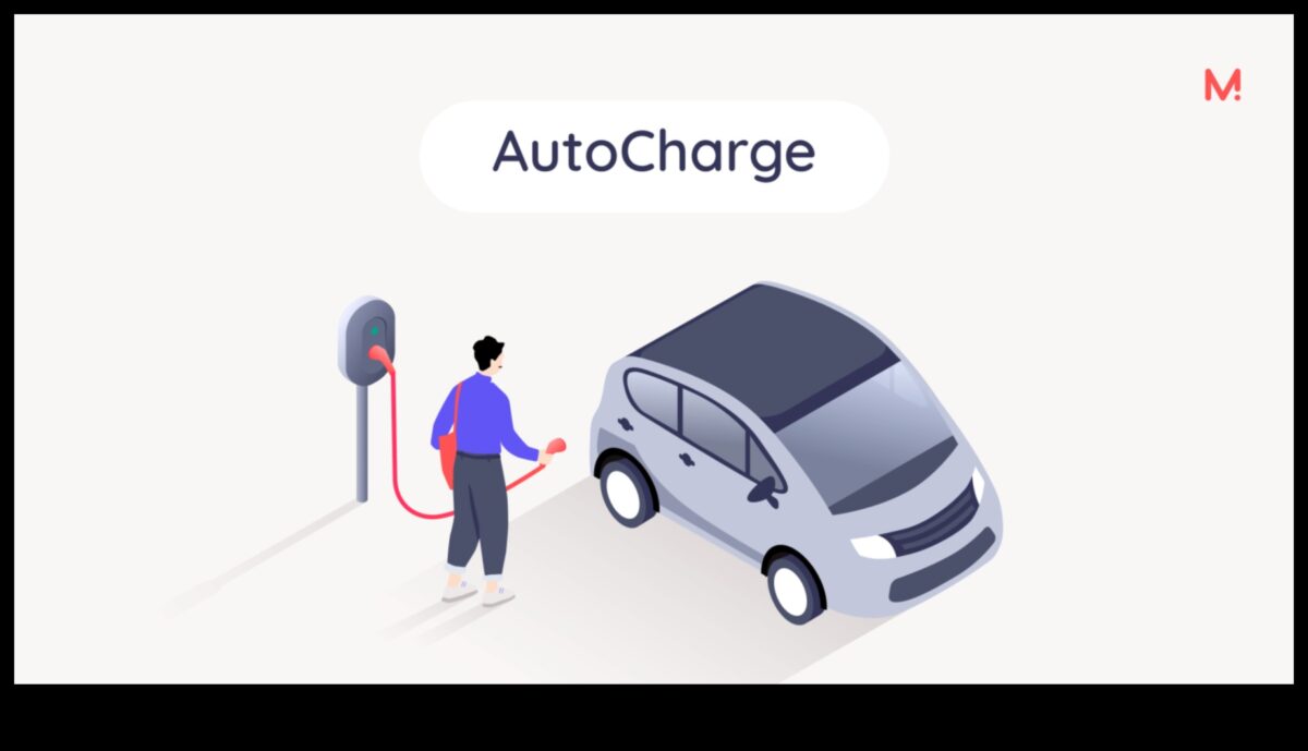 Plug and Play: הנוחות של טעינת רכבים חשמליים