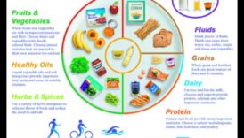 הצלחת המאוזנת: מדריך לענייני תזונה גריאטרית