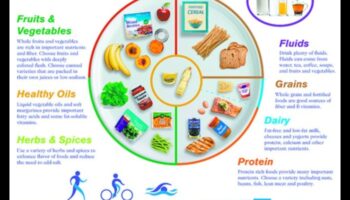 הצלחת המאוזנת: מדריך לענייני תזונה גריאטרית