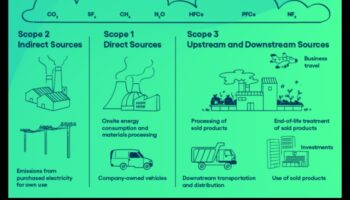 עקבות צי מסחרי: השפעת כלי רכב על פעילות עסקית