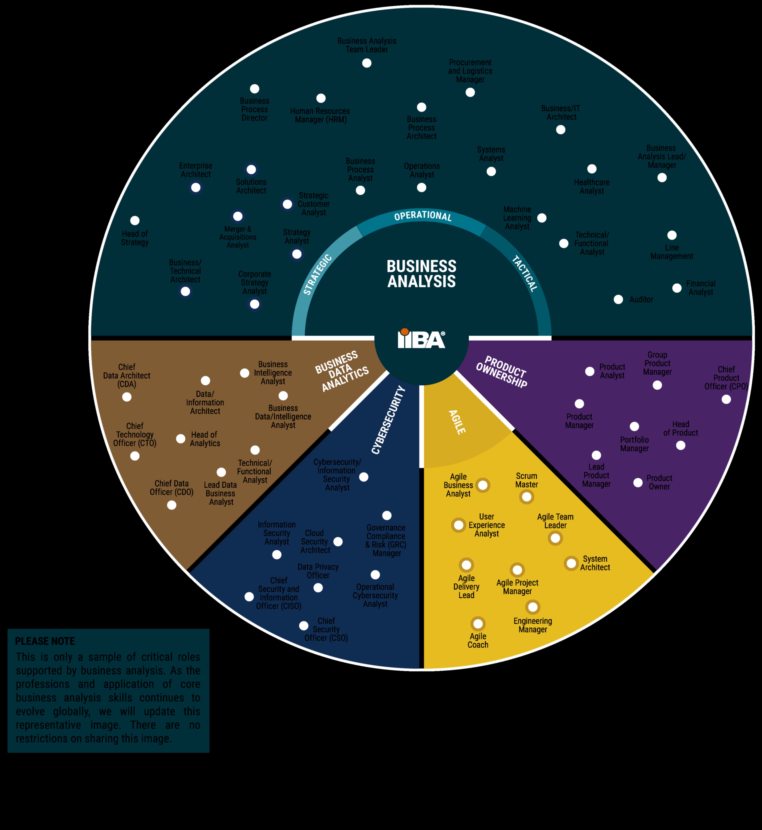 נווט המגמות: קורסי גרף באבולוציה העסקית
